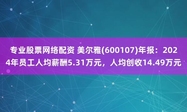 专业股票网络配资 美尔雅(600107)年报：2024年员工人均薪酬5.31万元，人均创收14.49万元
