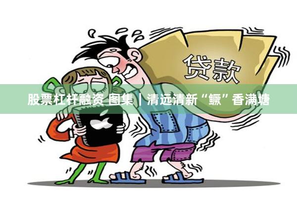 股票杠杆融资 图集｜清远清新“鳜”香满塘