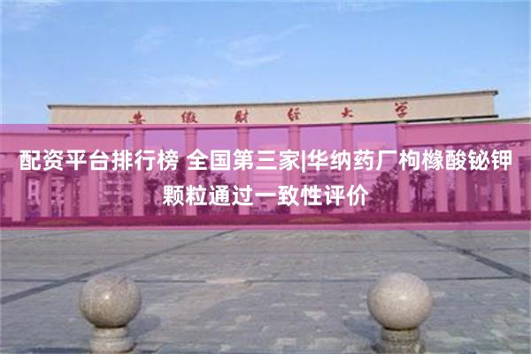 配资平台排行榜 全国第三家|华纳药厂枸橼酸铋钾颗粒通过一致性评价