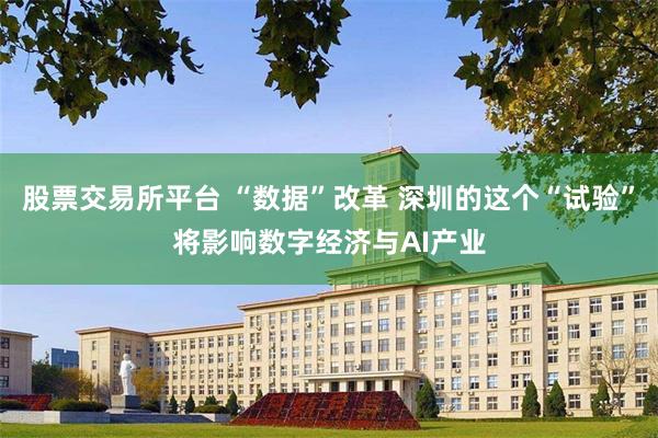 股票交易所平台 “数据”改革 深圳的这个“试验”将影响数字经济与AI产业
