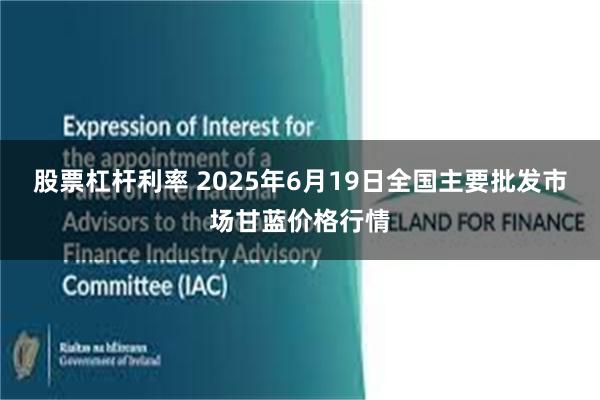 股票杠杆利率 2025年6月19日全国主要批发市场甘蓝价格行情