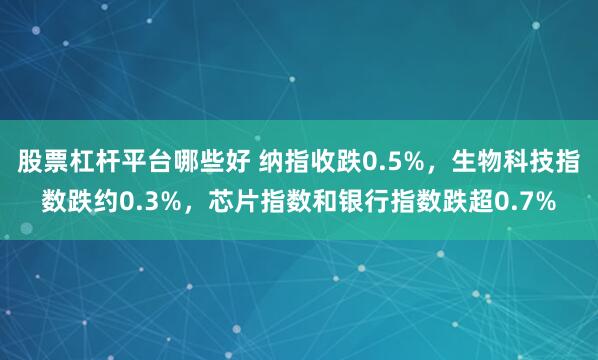 股票杠杆平台哪些好 纳指收跌0.5%，生物科技指数跌约0.3%，芯片指数和银行指数跌超0.7%