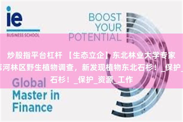 炒股指平台杠杆 【生态立企】东北林业大学专家团队助力苇河林区野生植物调查，新发现植物东北石杉！_保护_资源_工作