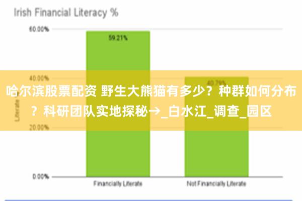 哈尔滨股票配资 野生大熊猫有多少？种群如何分布？科研团队实地探秘→_白水江_调查_园区