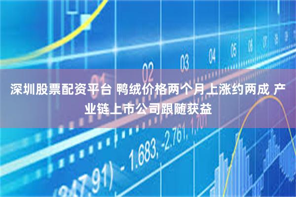 深圳股票配资平台 鸭绒价格两个月上涨约两成 产业链上市公司跟随获益