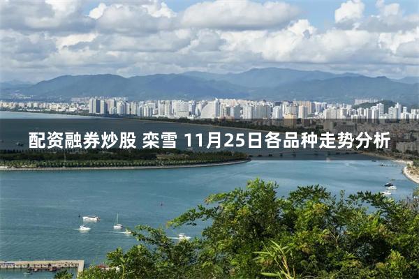 配资融券炒股 栾雪 11月25日各品种走势分析