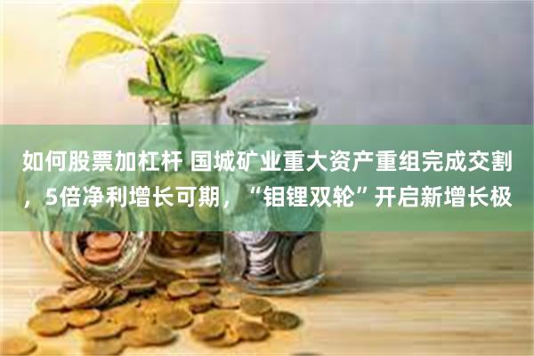 如何股票加杠杆 国城矿业重大资产重组完成交割,5倍净利增长可期,“钼锂双轮”开启新增长极